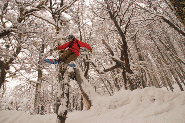 Tomas Blanc is a local legend, got to be quick to spot him in the trees © Catedral Alta Patagonia