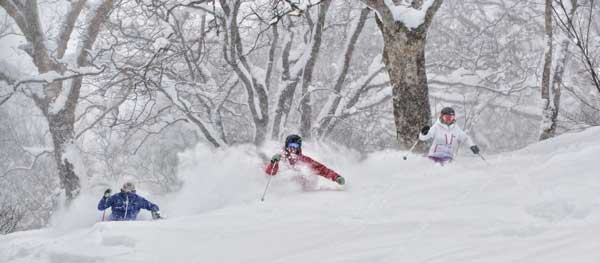 Myoko Snowsports can look after you chasing pow or starting out © Myoko Snow Sports