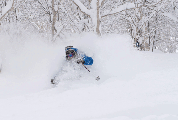 this is the niseko dream, but the reality is most can only ski like this in their dreams anyhow. why not get some help for where to find it and how to ski it on one of the new powder workshops with only 3 per group? © glen claydon / www.gondolasnowsports.com