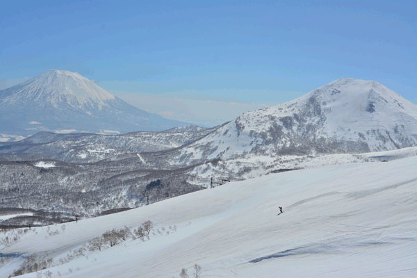 just you and four to twelve guests, all this, all day, should boost your chances for first tracks © niseko hanazono resort