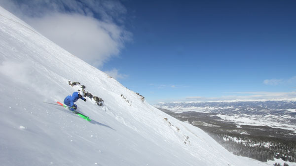 If you like alpine you'll love Breck © Owain Price