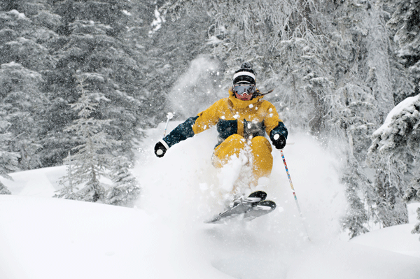 Sun Peaks added some awesome glade terrain to take their total to a whopping 1700 hectares © adam stein sun peaks resort