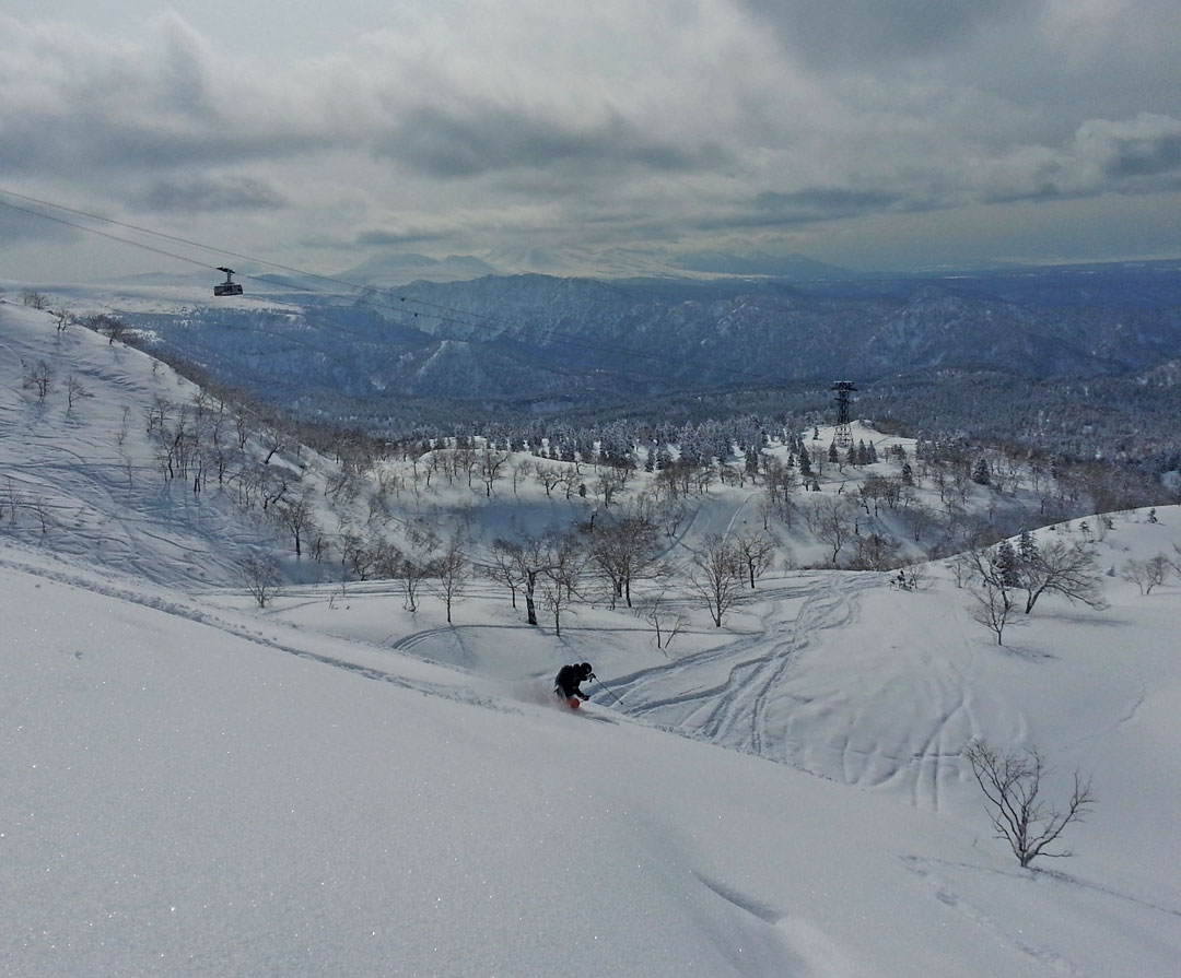 Powder skiing Asahidake