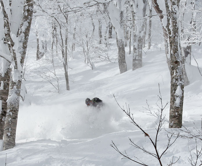 powder in the trees at Nekoma