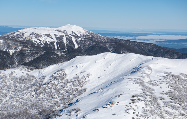 Aerial view from Mt Stirling to Buller