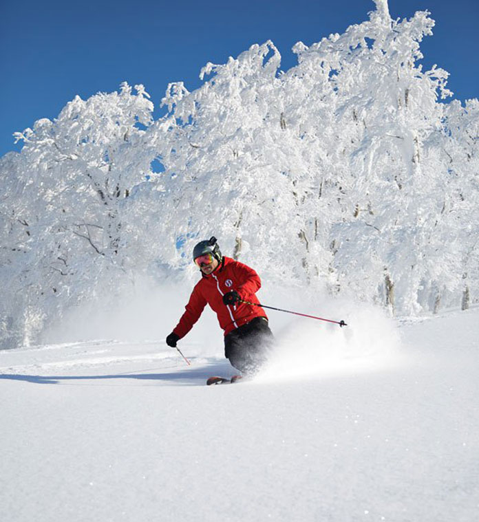 Powder skiing Ani Ski Resort Akita