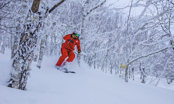 Sahoro Resort tree skiing
