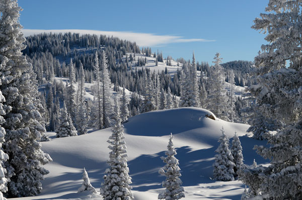 Steamboat glades