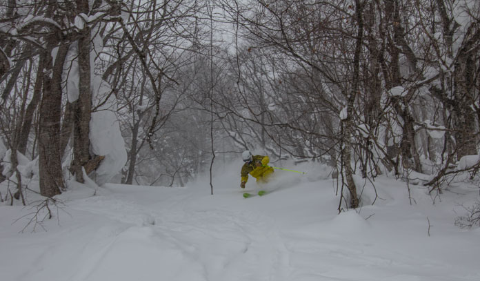 Local Ski Guide Junya Kuragane enjoys Hachimantai Shimokura ski resort's tree zone.