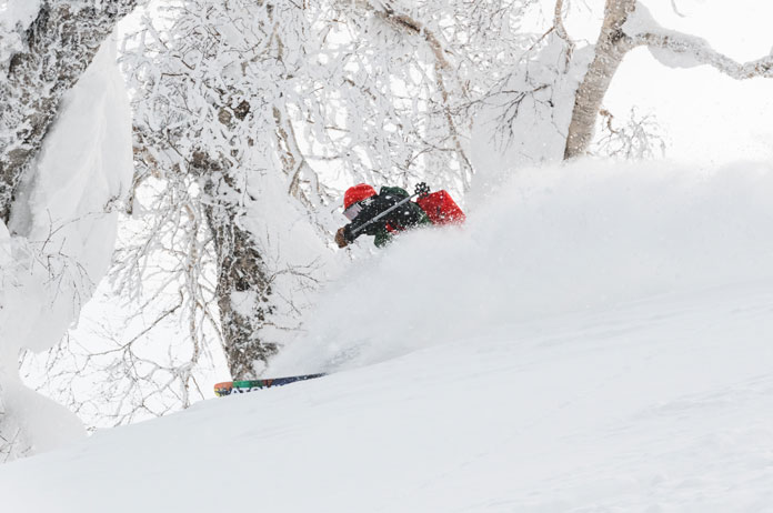 powder skiing trees in Hokkaido