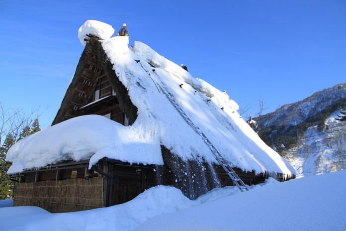 Clearing snow off the thatch roof at Gokoyama's Ainokura village