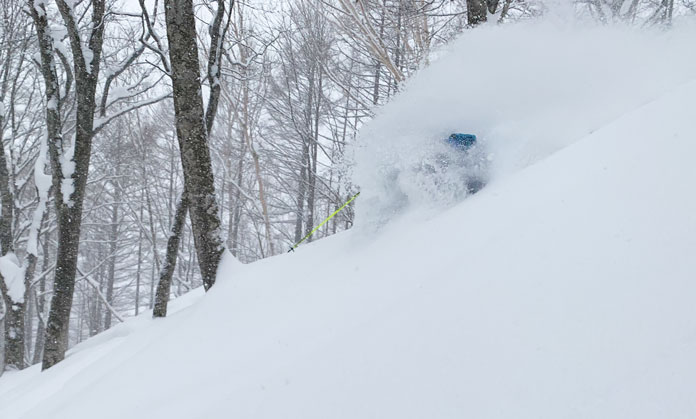 tree skiing with Hakuba Valley guided tours