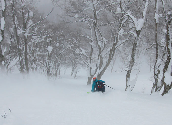 Skiing trees at Aomori Spring Resort