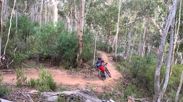 Thredbo Valley MTB Trail winding through the forest