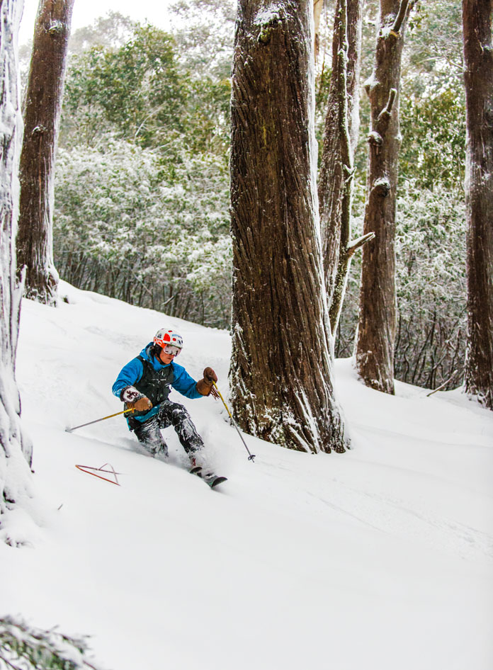Best of Buller tree skiing mountain ash forest