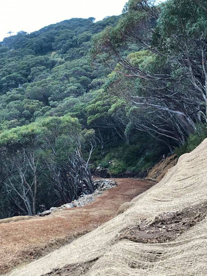 New Boggy Creek Travers trail at Mt Buller