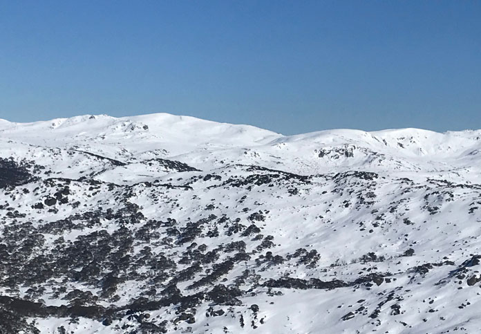 View from the back of Mt Perisher to the Paralsyer ridegeline and the Main Range beyond