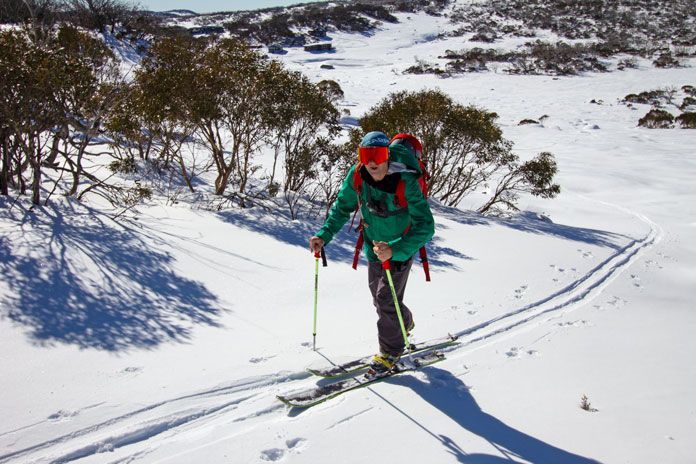 Back country ski touring Mt Wheatley
