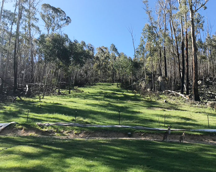 View of the original ski slope at Corin Forest Canberra in 2020, partially re-vegetated