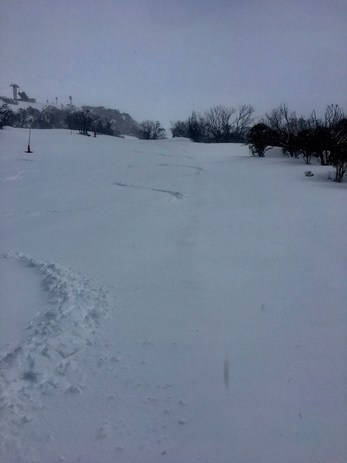 Tracks on the Supertrail after the big storm overnight