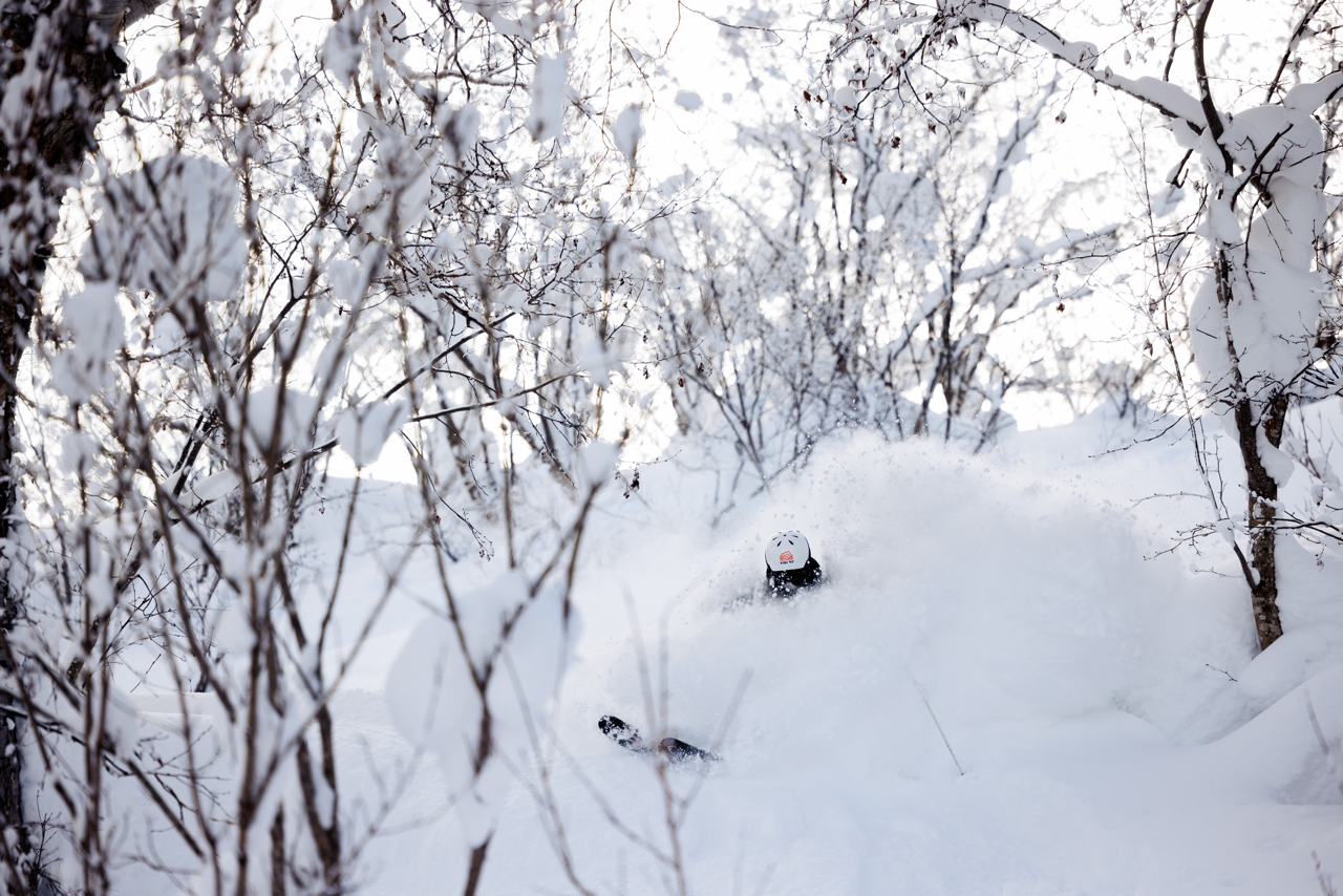 Soaking up the Powder