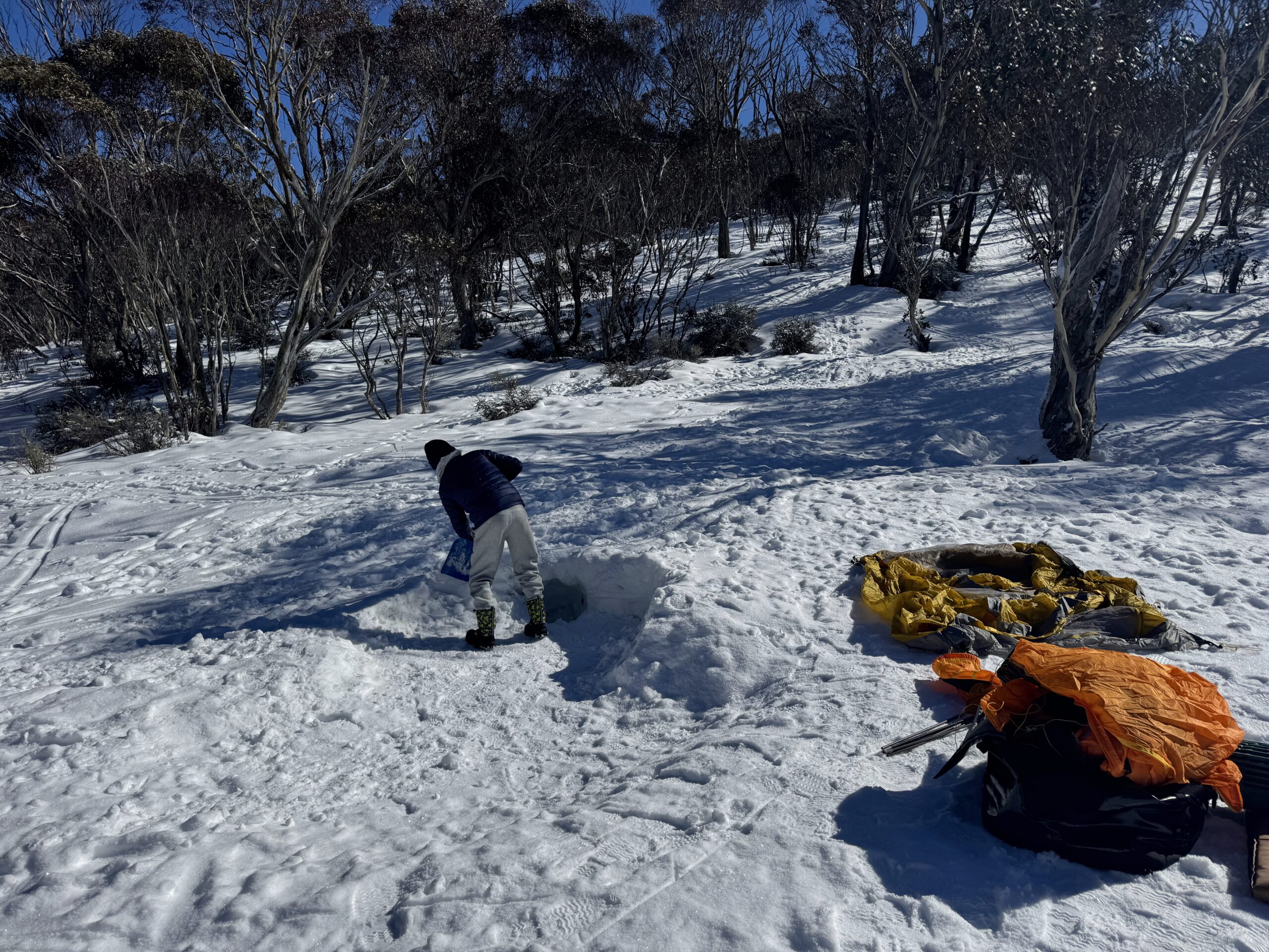Backcountry thredbo
