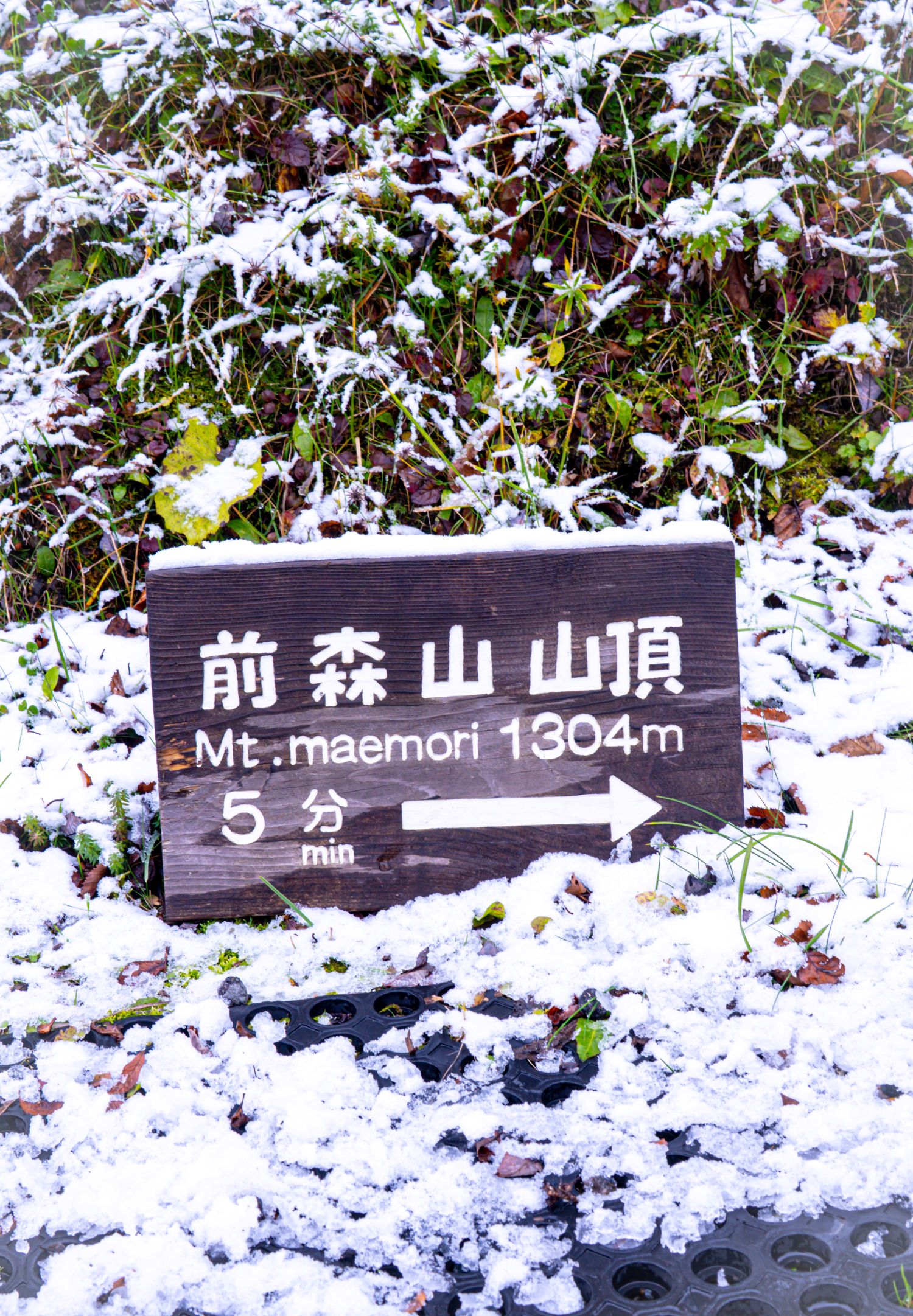 Mt Maemori, Appi Kogen Japan
