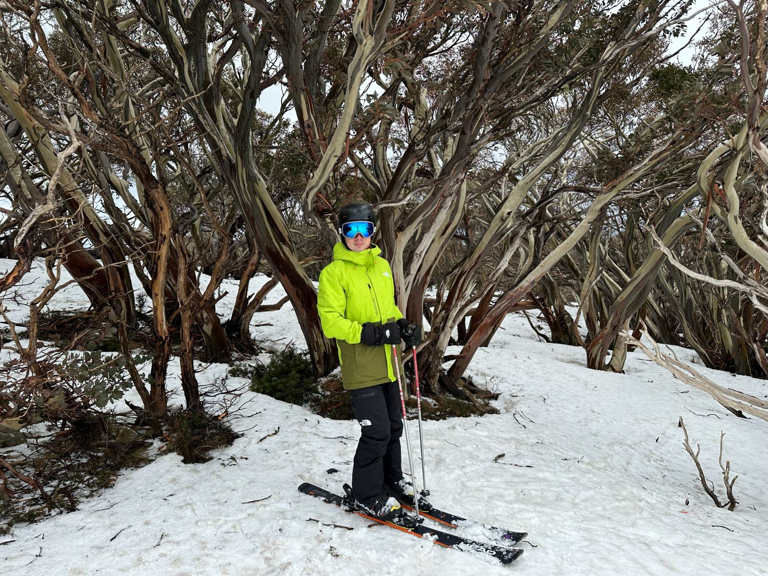 The North Face Freedom Jacket